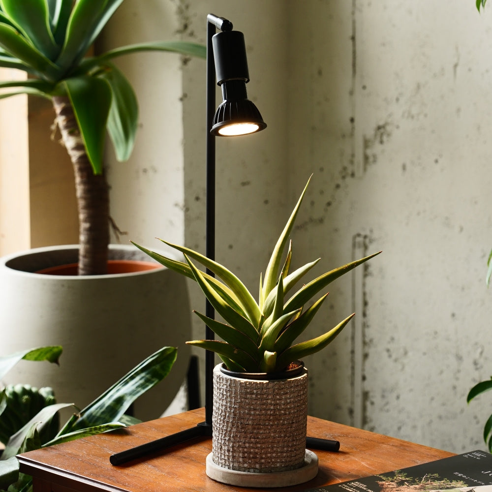 BARREL MINI GROW-SUN9W 4000Kブラック