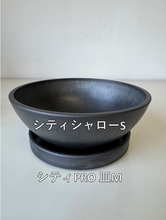 Marvista シティPRO皿M BK 0959