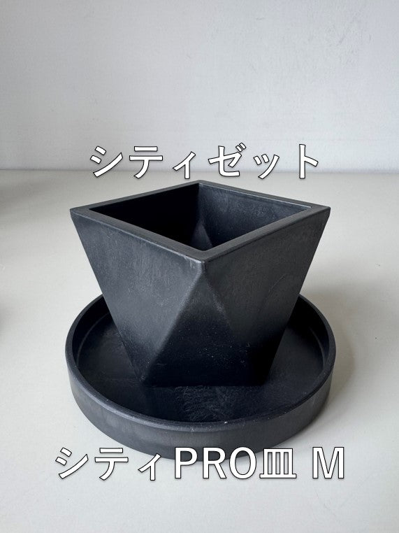 Marvista シティPRO皿M BK 0959