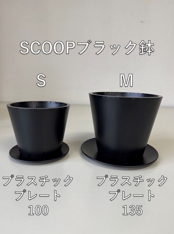 SCOOP ブラック鉢S