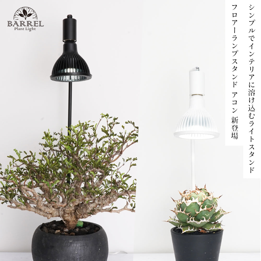 BARREL Akond フロアライトスタンド 54.6cmBK