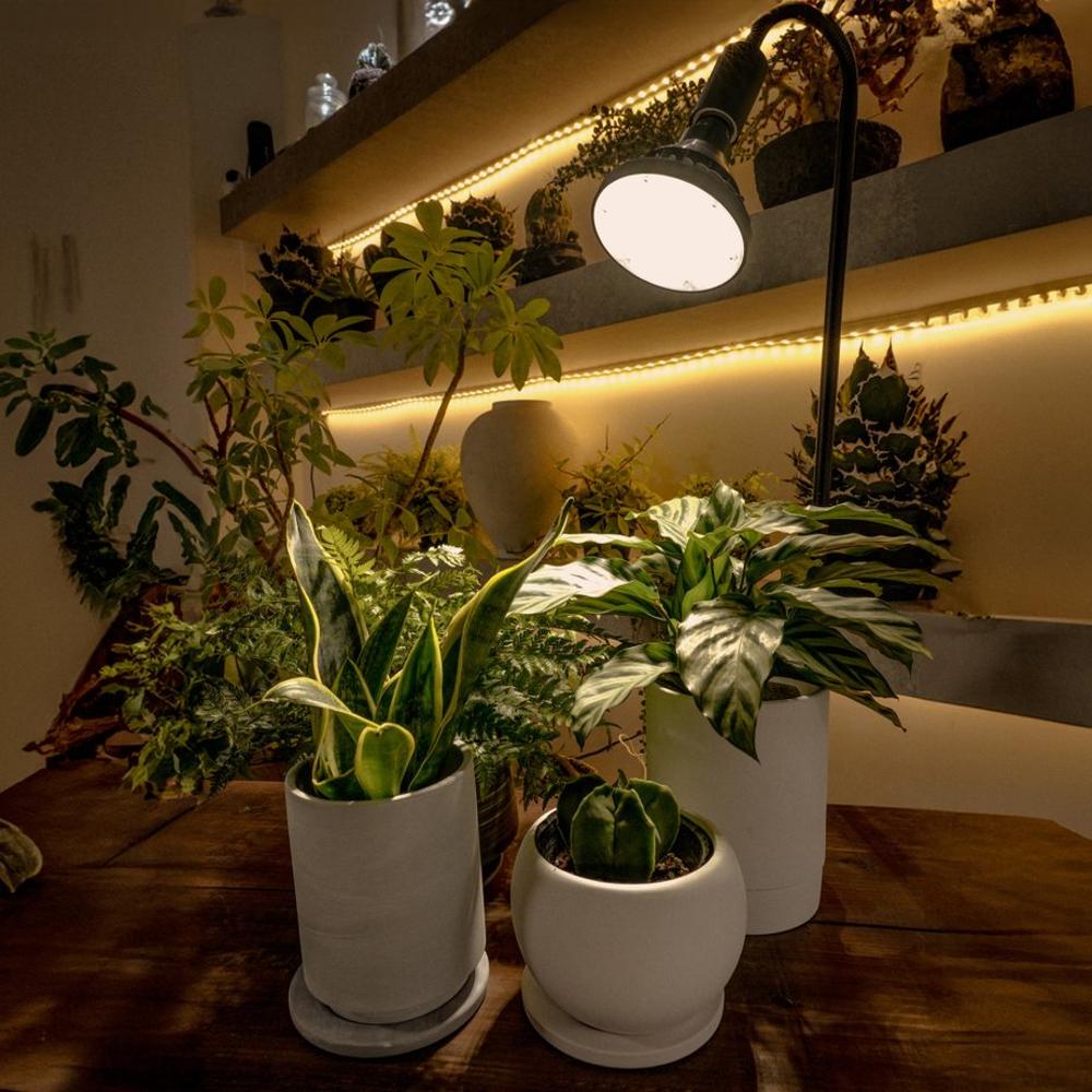 BARREL 防水電球 WAP-SUN20W-BK