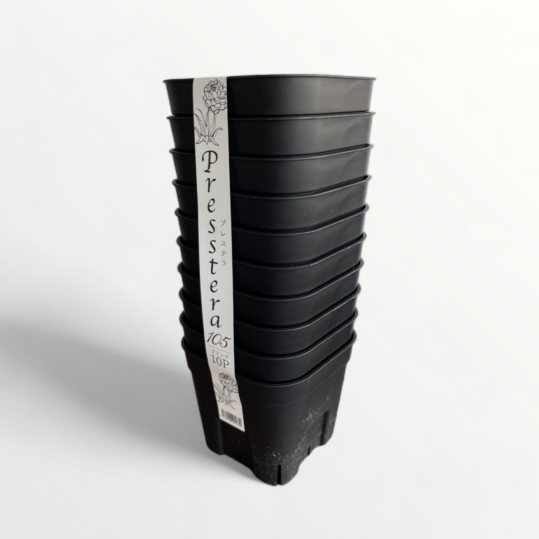 日本ポリ鉢販売 プレステラ105 10個組