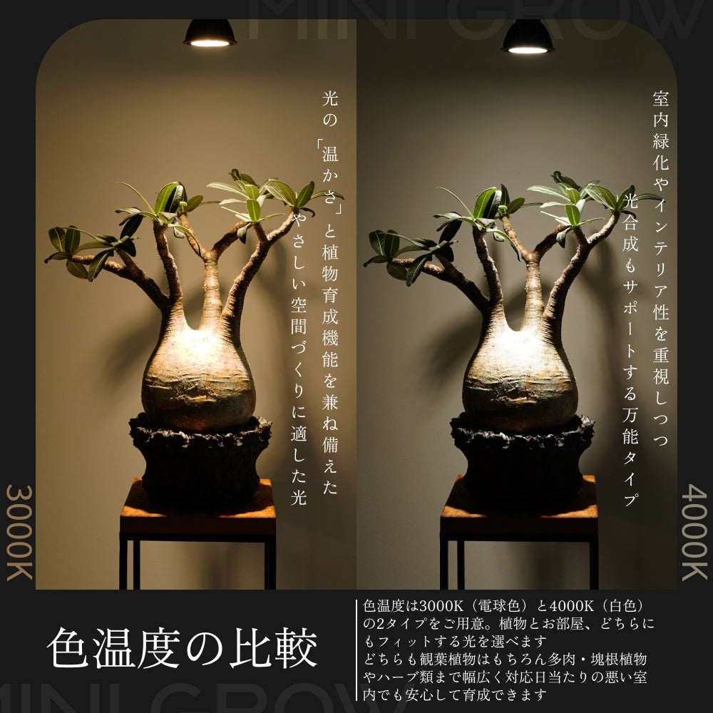 BARREL MINI GROW-SUN9W 4000Kブラック