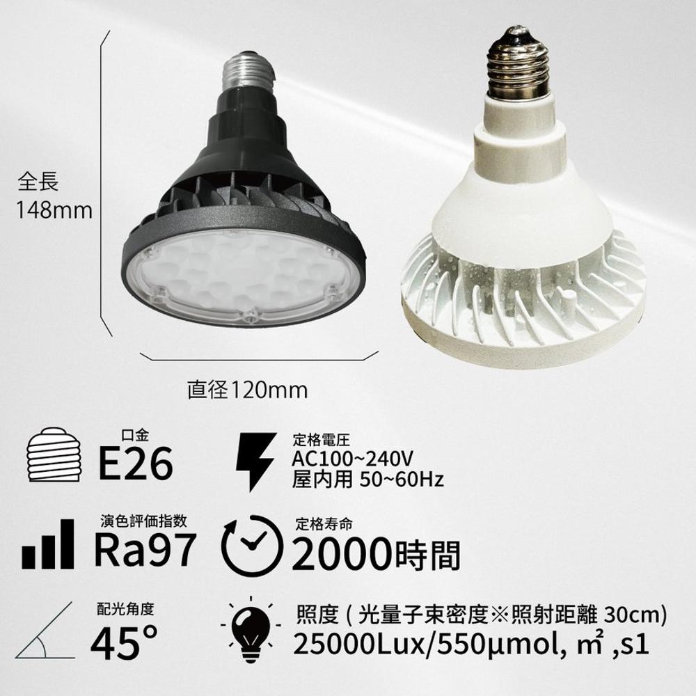 BARREL 防水電球 WAP-SUN20W-BK