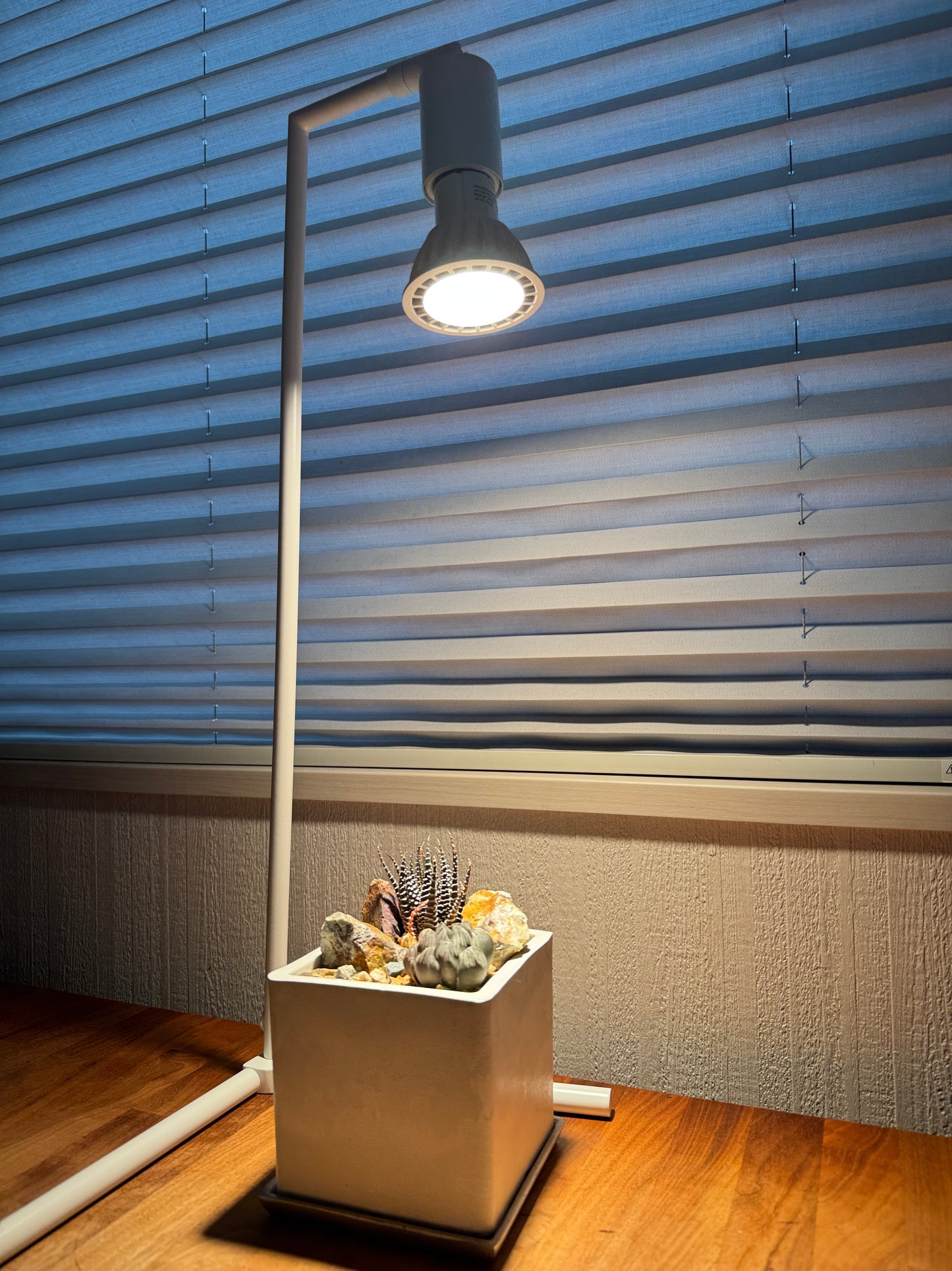 1294 シティキューブM WT