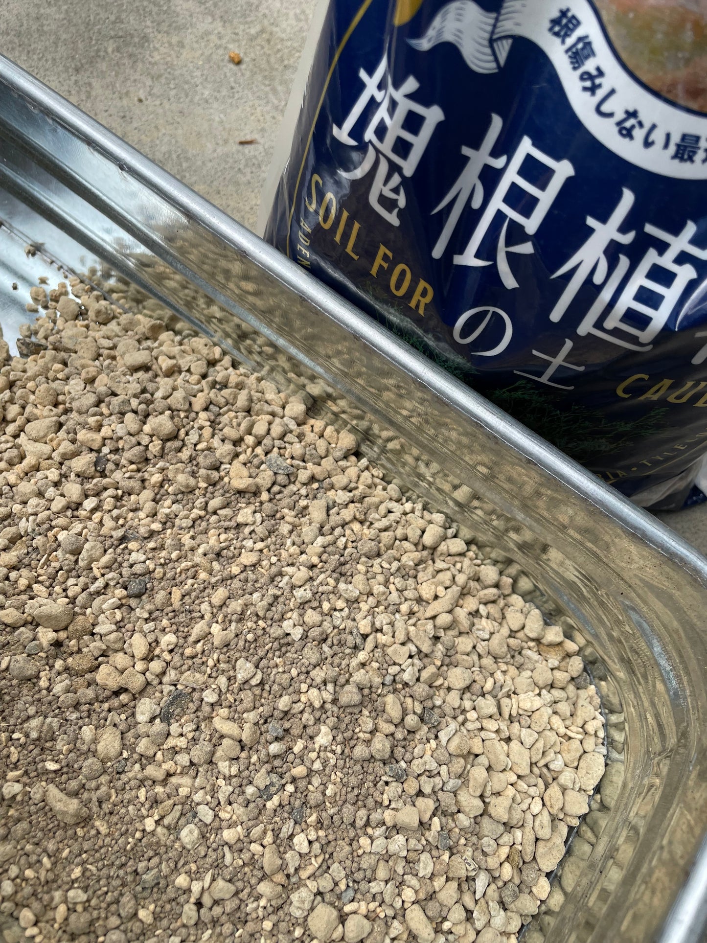 花ごころ 塊根植物の土