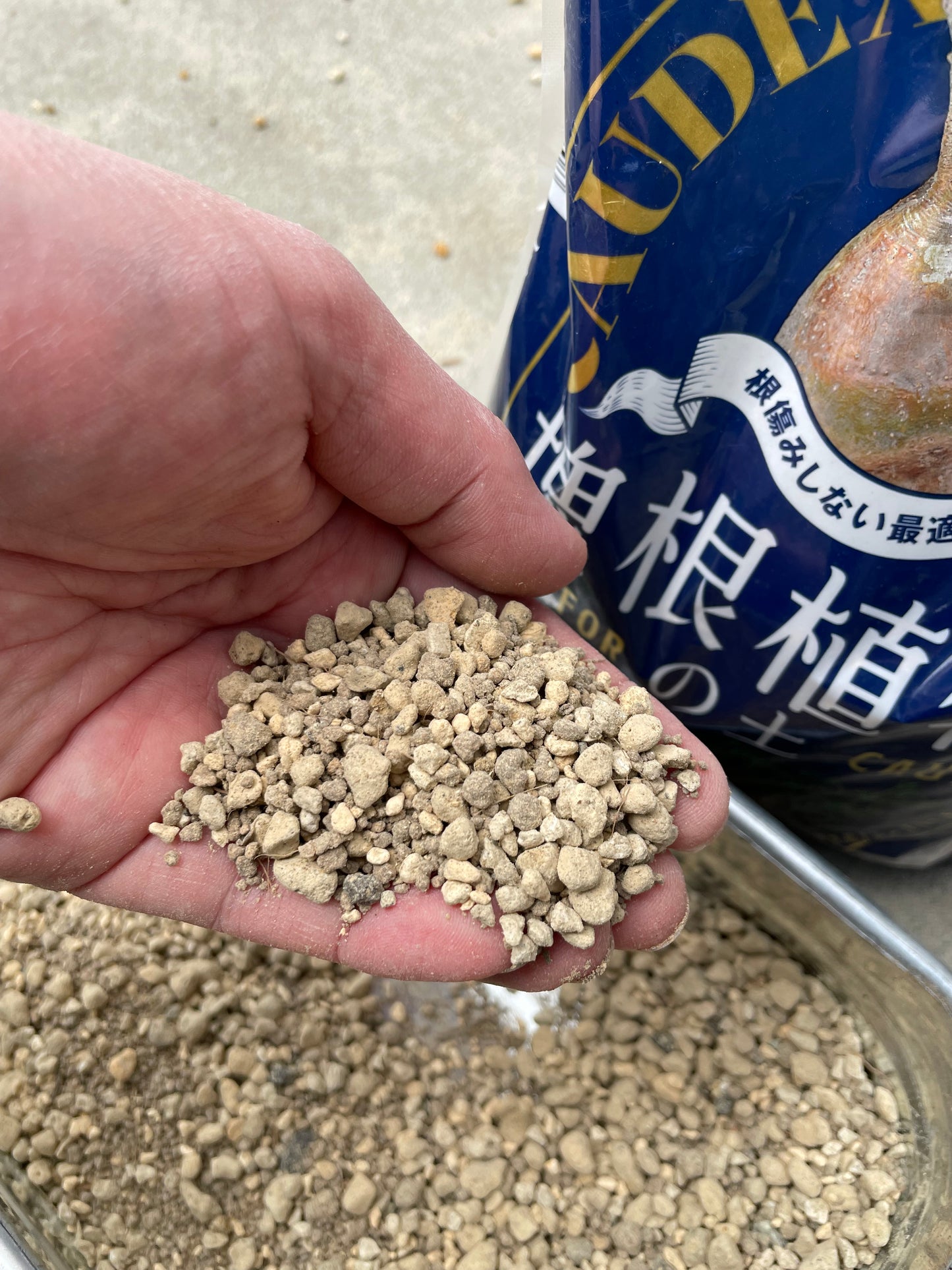 花ごころ 塊根植物の土