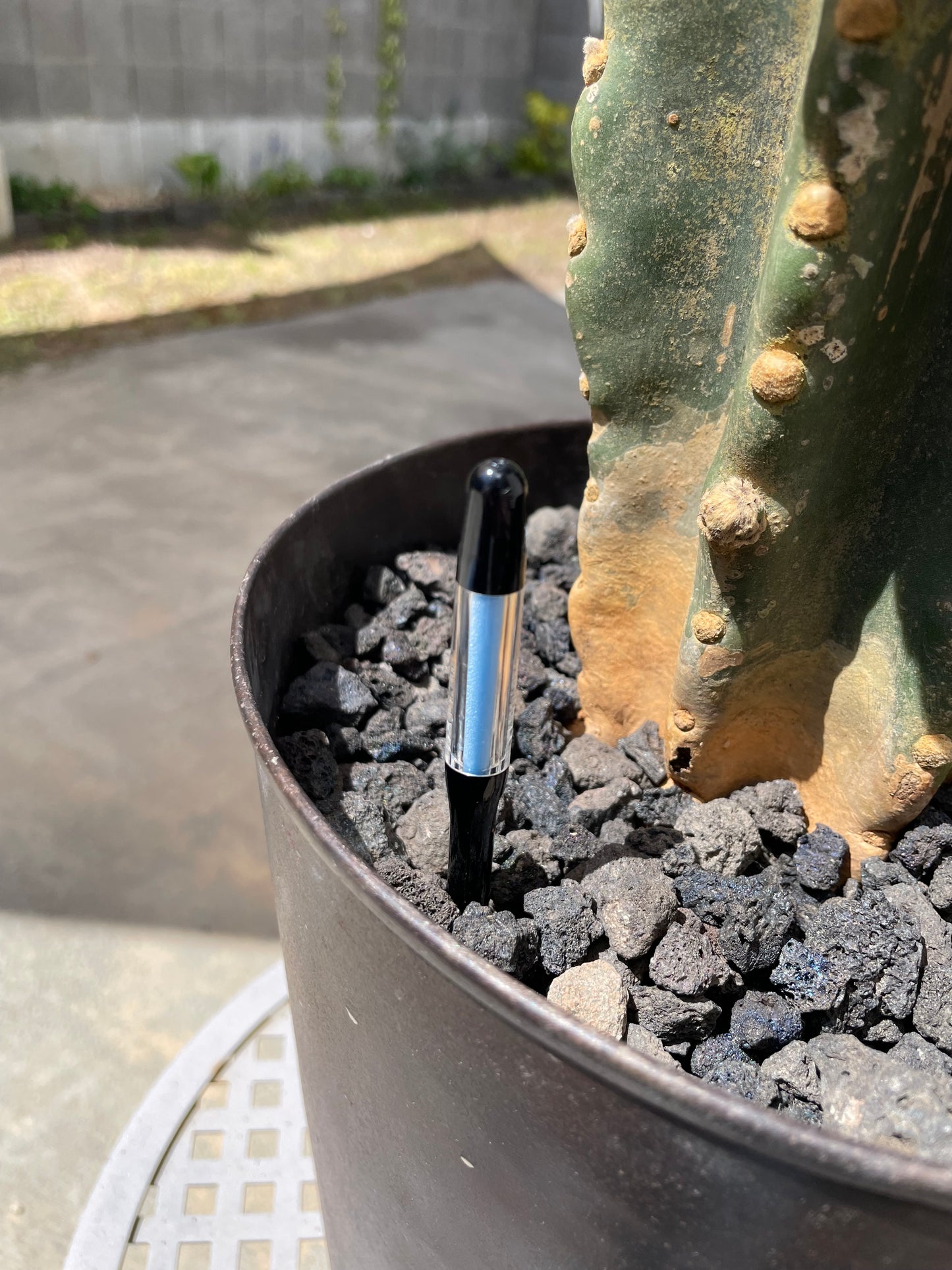 水位計 SUSTEE ブラックL