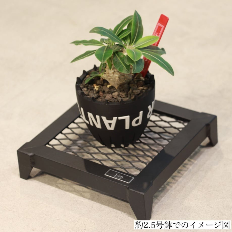 Lim Iron craft DAIZA