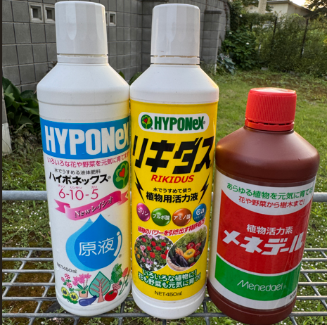 メネデール・リキダス・ハイポネックスの違いとは？塊根植物・多肉植物に効く正しい使い分け方