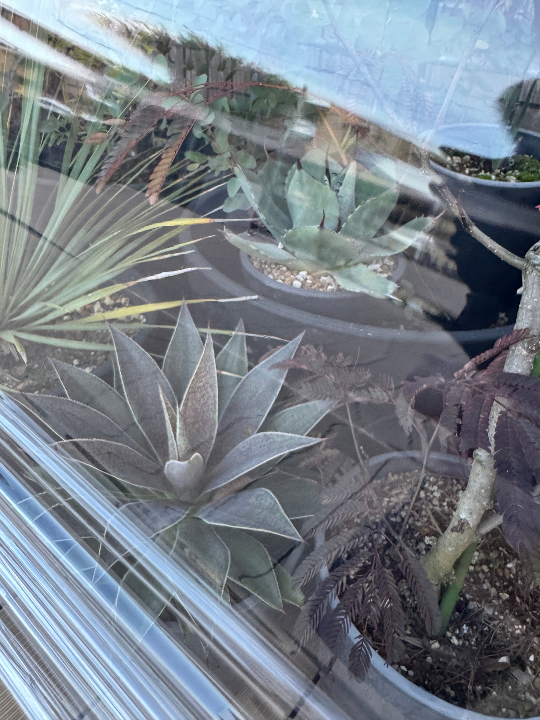 マンガべ成長日記 Vol.8