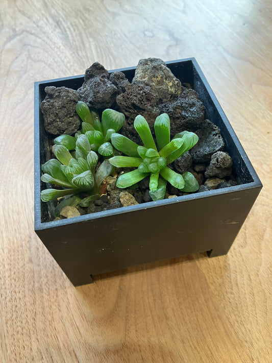 メイクアップストーンVolcanoを使ってみた