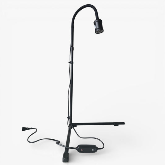 プラエリアスタンドソケット