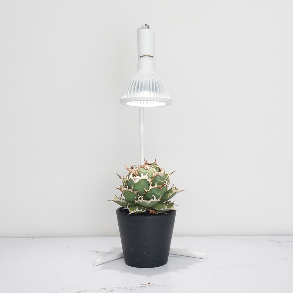 Akond フロアーライトスタンド54.6cmWH