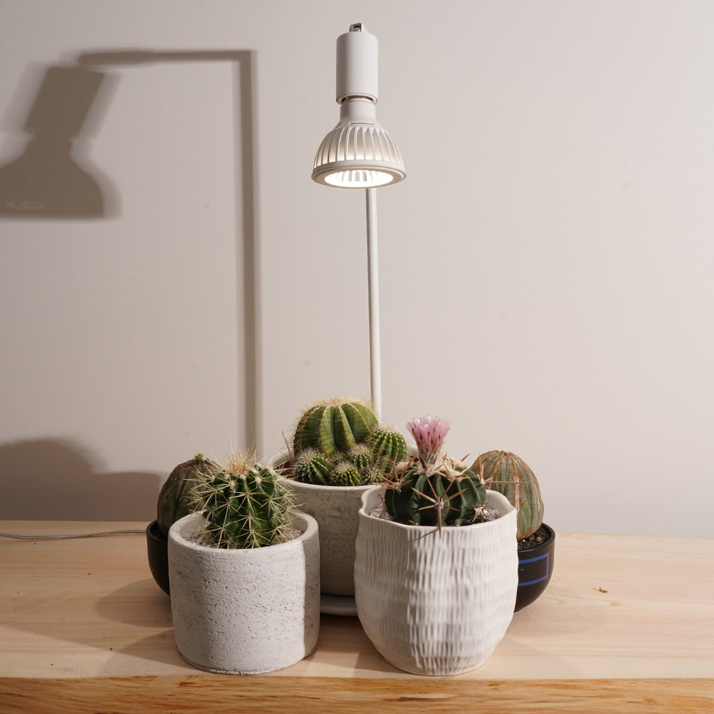 TSUKUYOMI 10Wホワイト