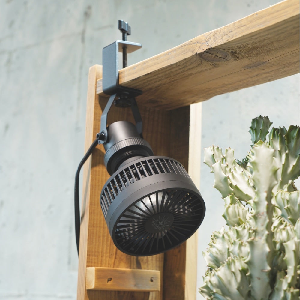 Aechmea 植物用ファンWH