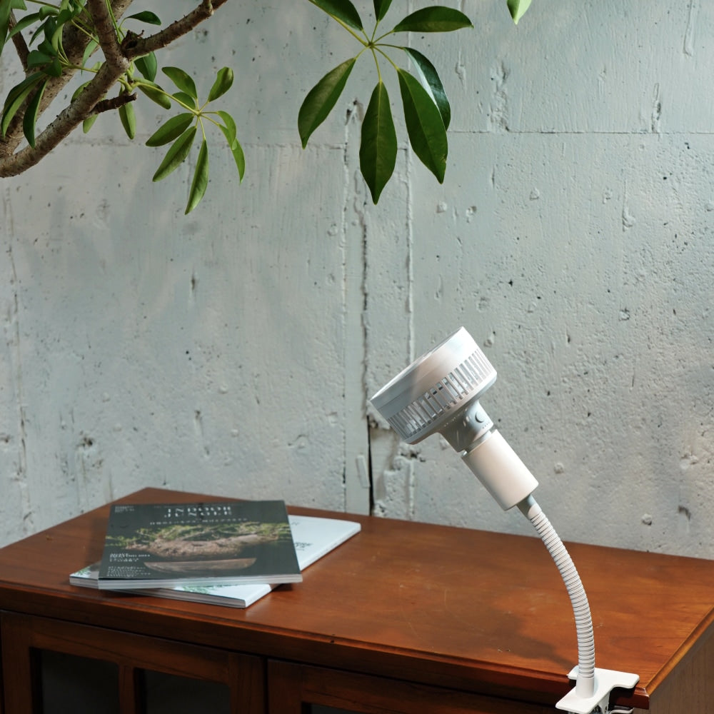 Aechmea 植物用ファンWH