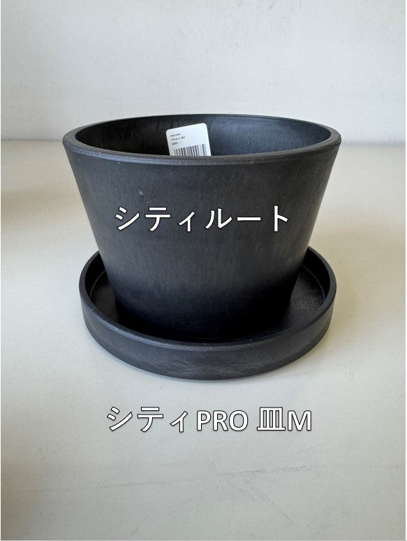 Marvista シティPRO皿M　BK　0959