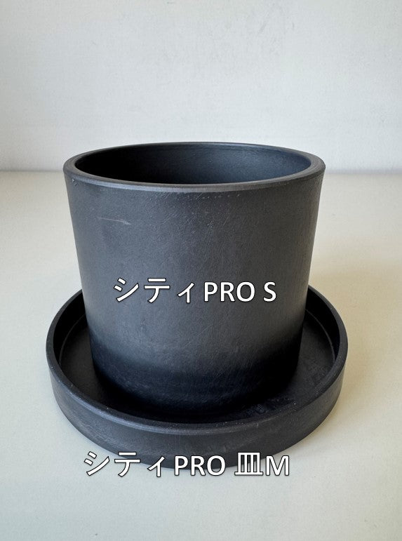Marvista　プラスチックポット　0954 シティPRO S BK