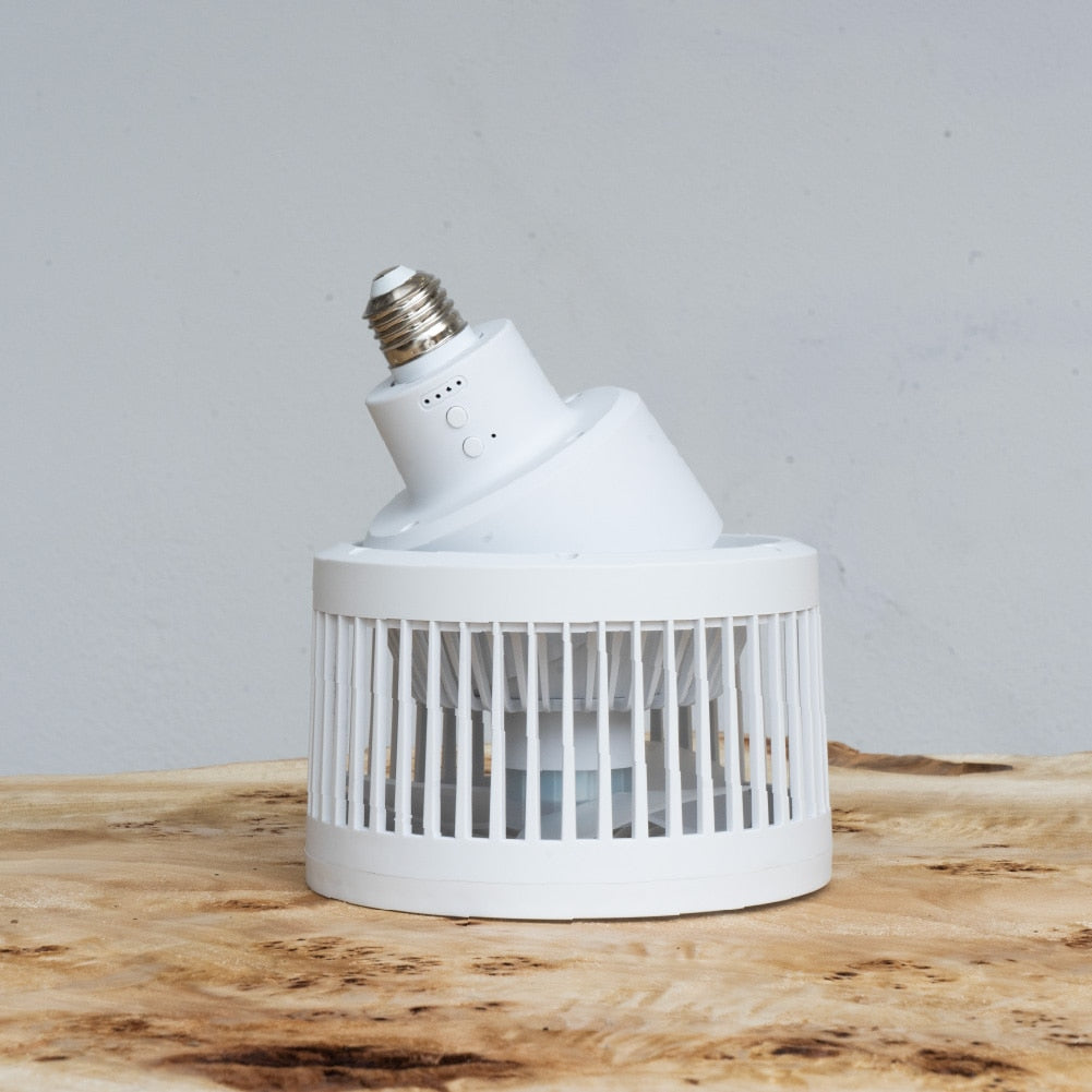 Aechmea Move植物用ファンWH