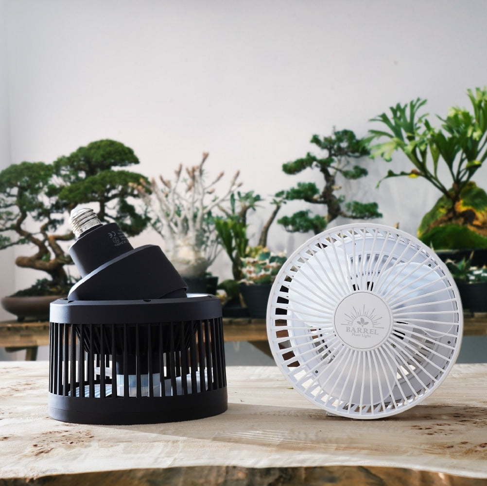 Aechmea Move植物用ファンWH