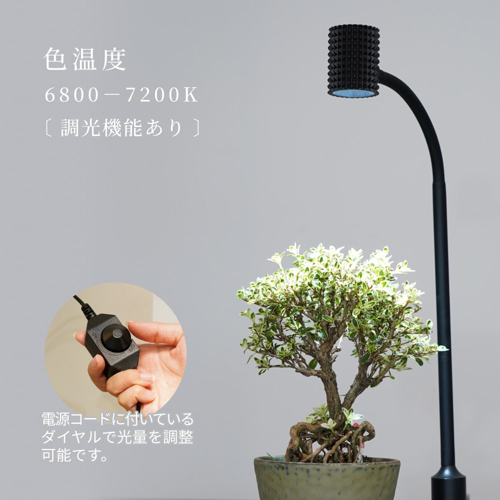 BARREL　スタンドライト　ユー　yew-7w-BK