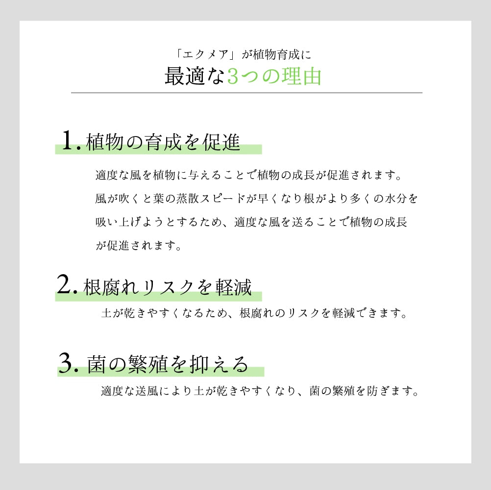 Aechmea Move植物用ファンWH