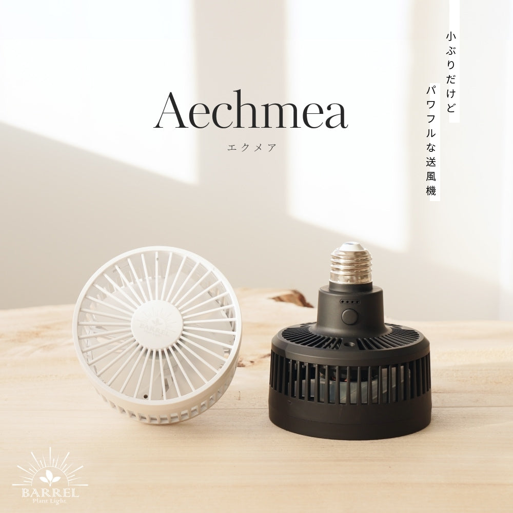 BARREL Aechmea エクメア 植物用ファン BK