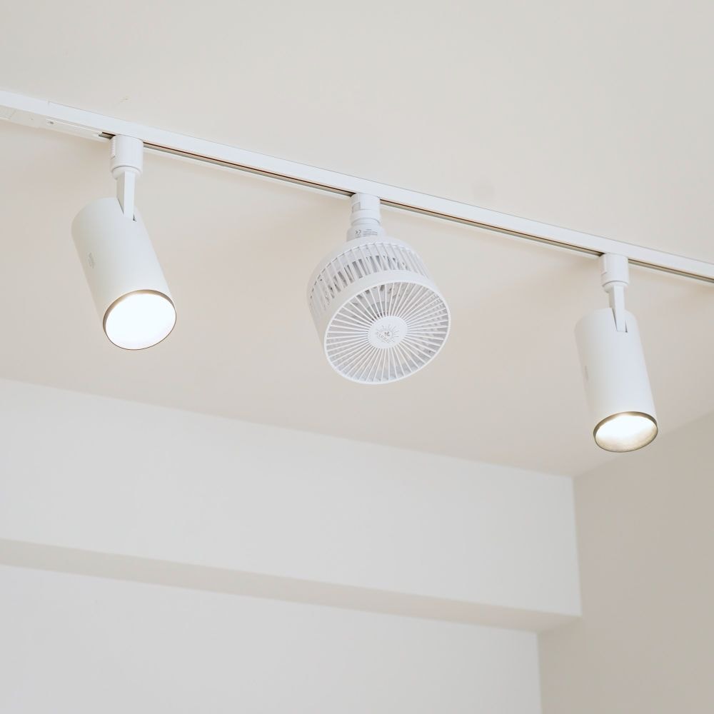 Aechmea Move植物用ファンWH