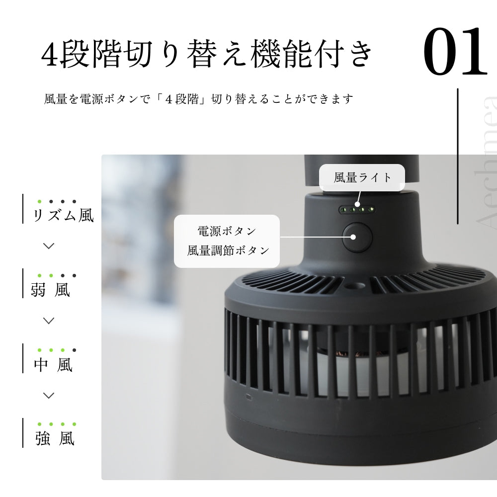 BARREL Aechmea エクメア 植物用ファン BK