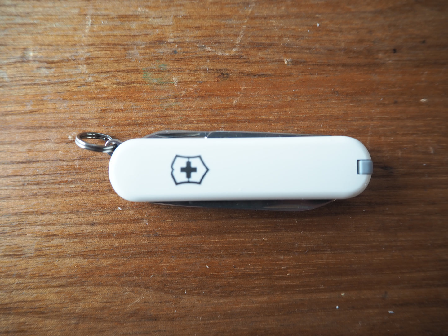 VICTORINOX クラシックSD FALLING SNOW