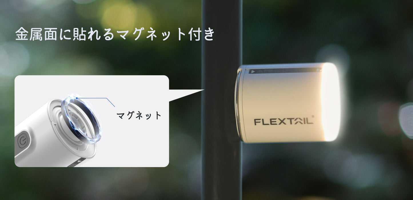 FLEXRAIL タイニーポンプ2X