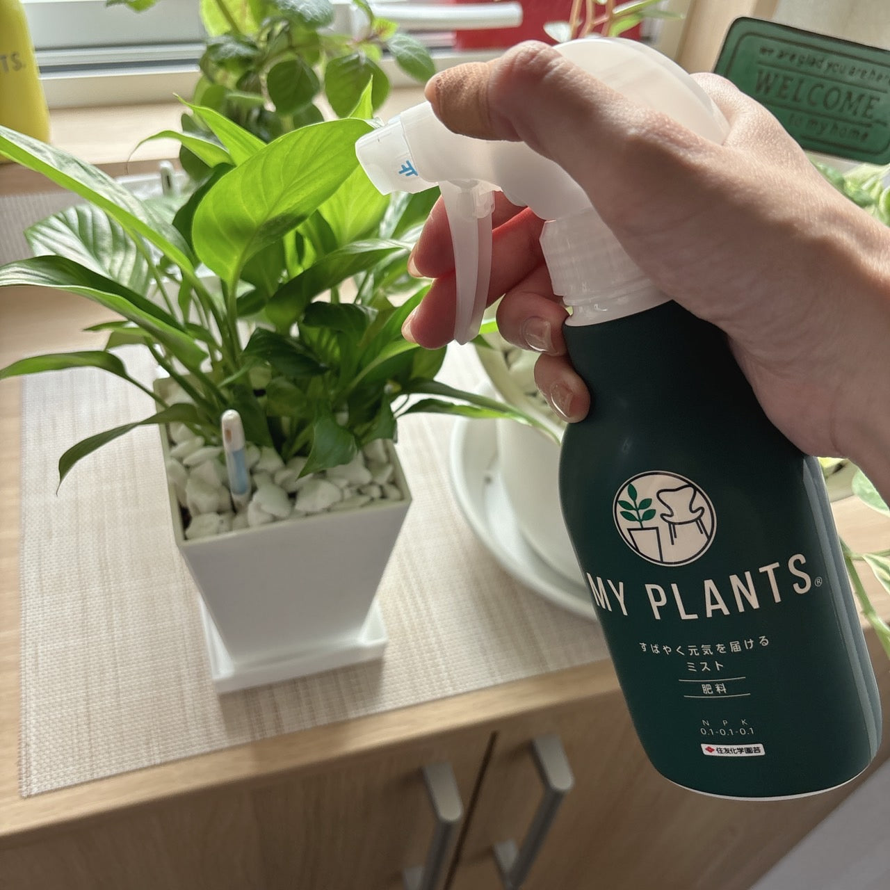 MYPLANTS すばやく元気を届けるミスト 250ml