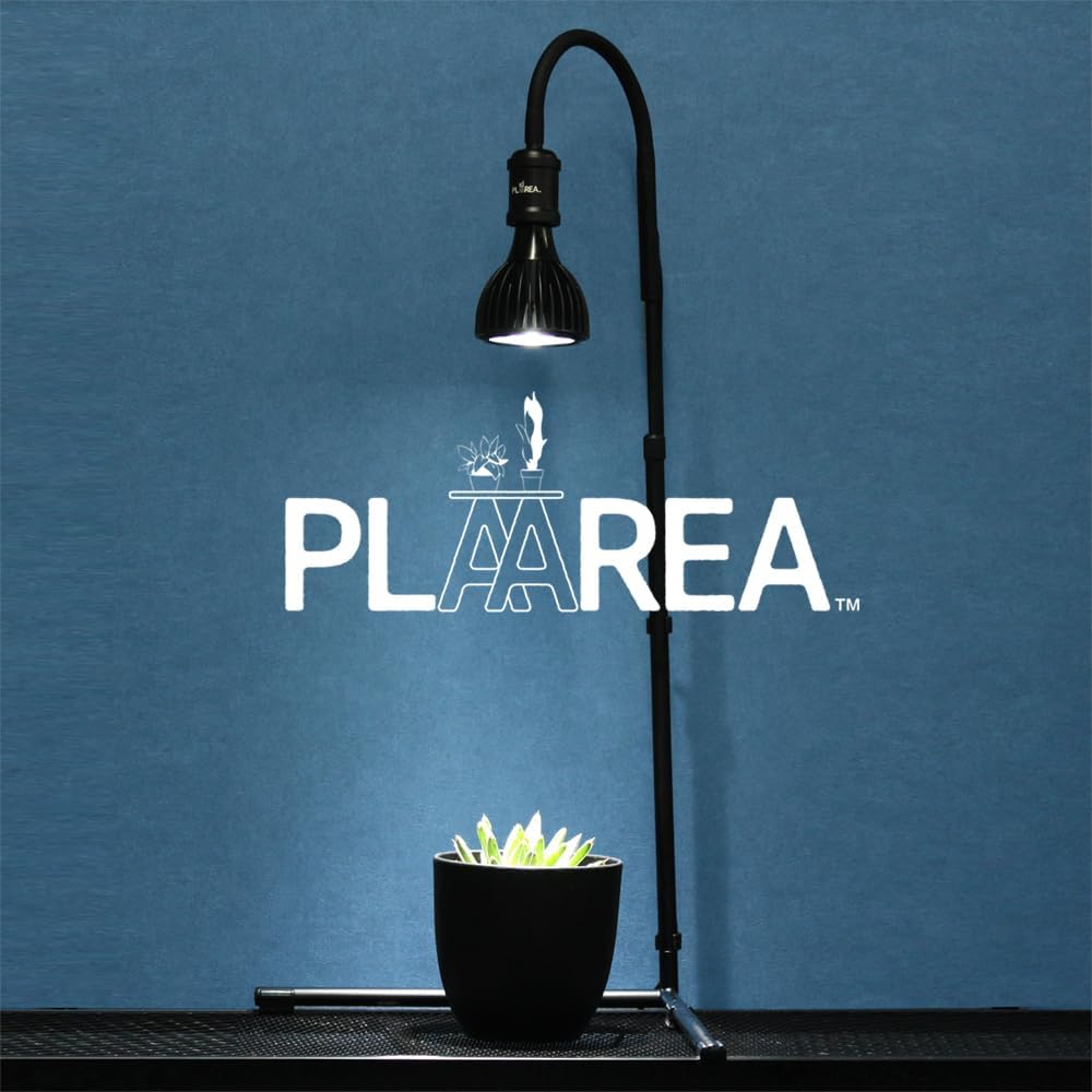 プラエリアスタンドソケット