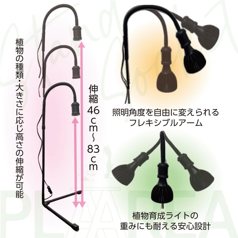 プラエリアスタンドソケット