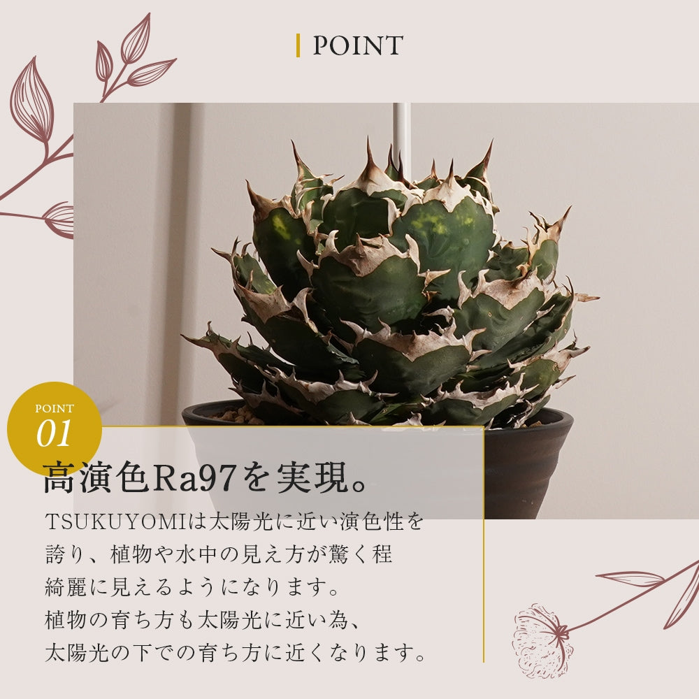 TSUKUYOMI 10Wホワイト