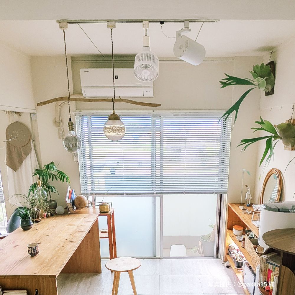 Aechmea Move植物用ファンWH