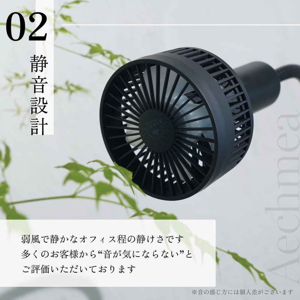 Aechmea 植物用ファンWH