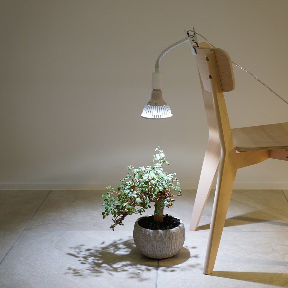 プラントクリップ A-E26-WH