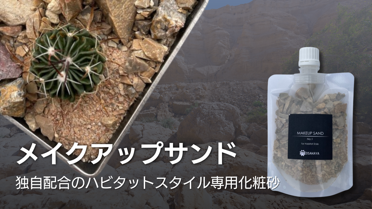 メイクアップサンド.png