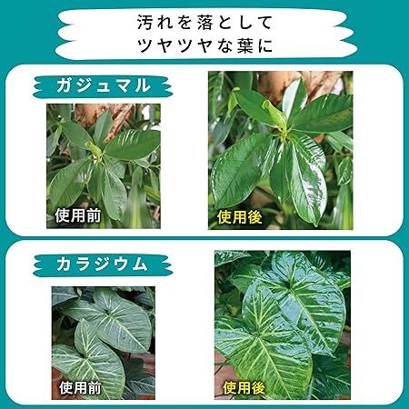 MYPLANTS 葉をきれいにするミスト 220ml