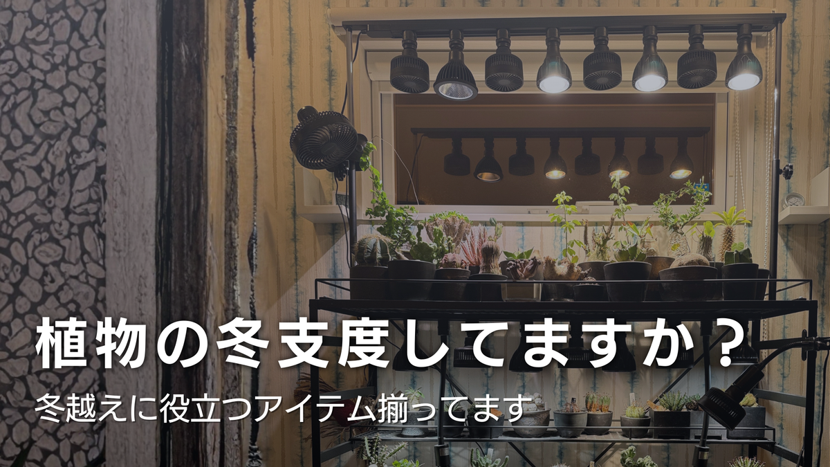 植物の冬支度