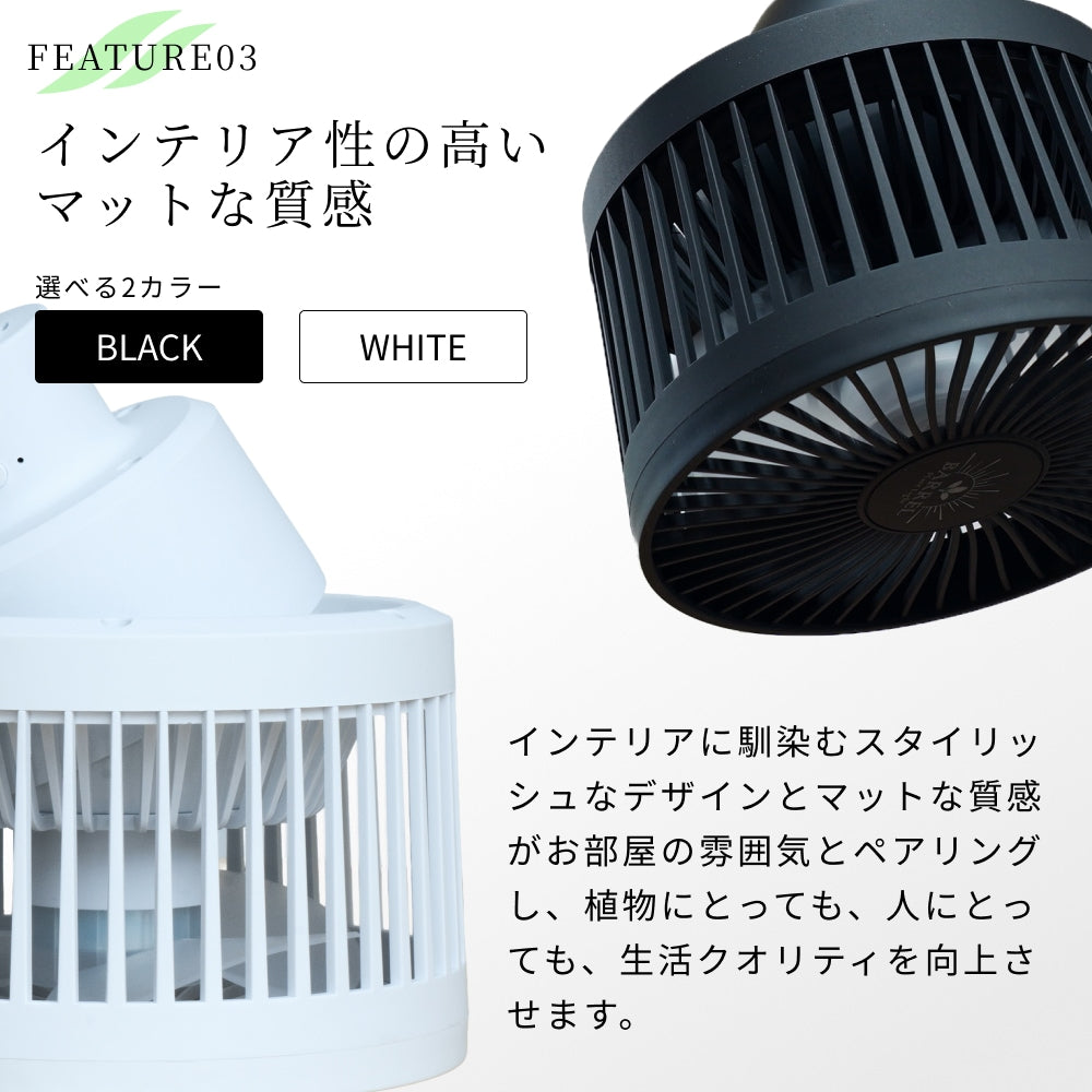 Aechmea Move植物用ファンWH