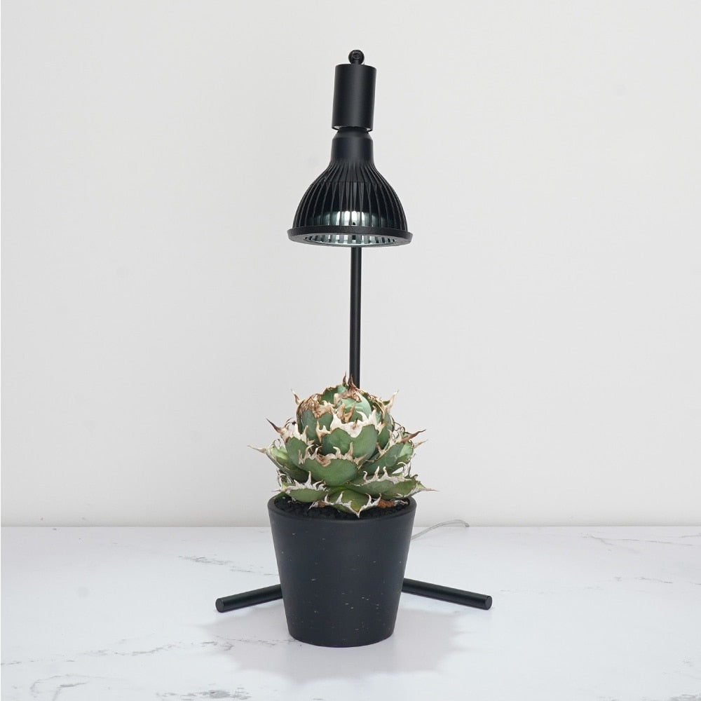 Akond フロアーライトスタンド54.6cmWH