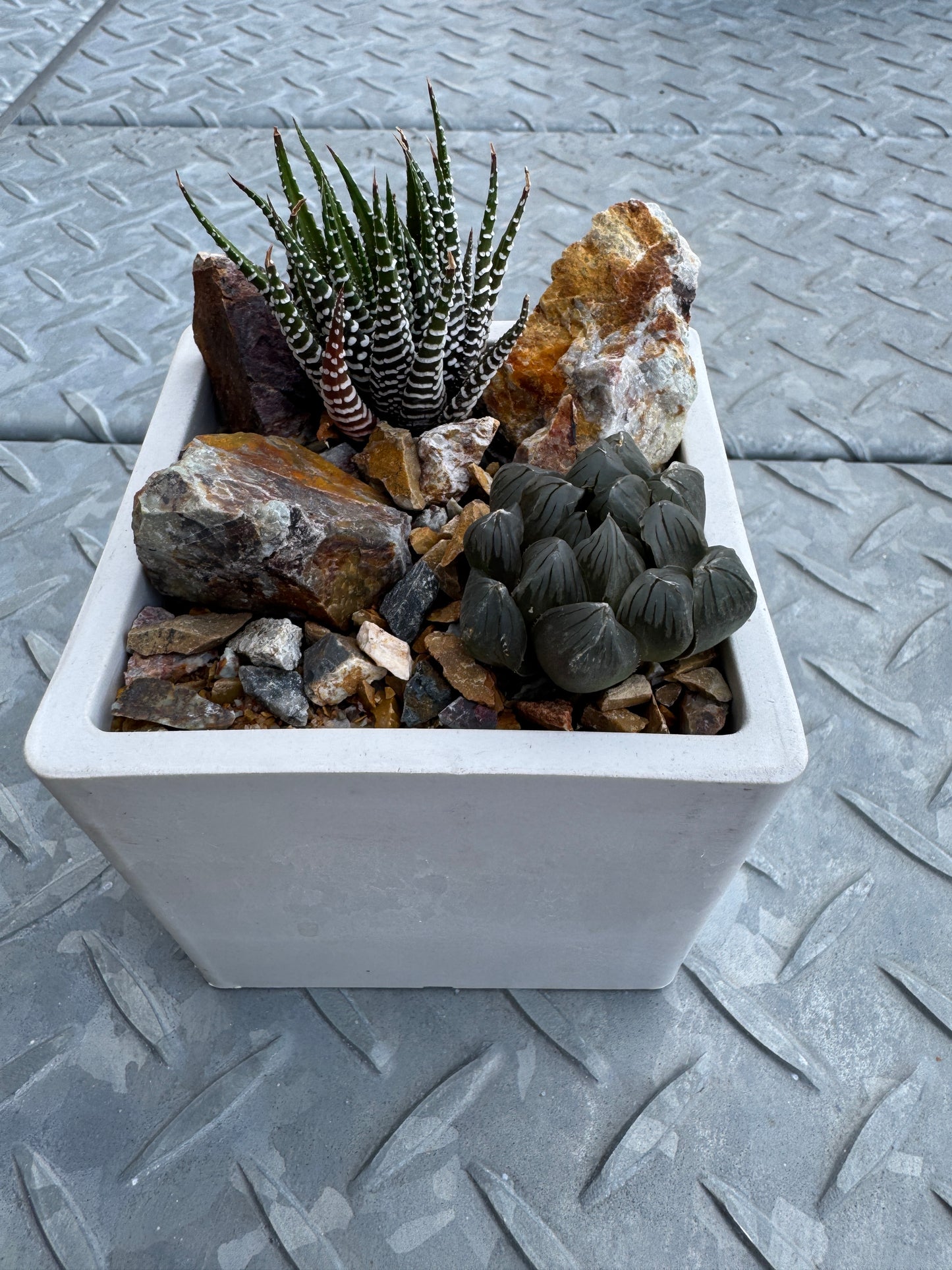 1294 シティキューブM WT