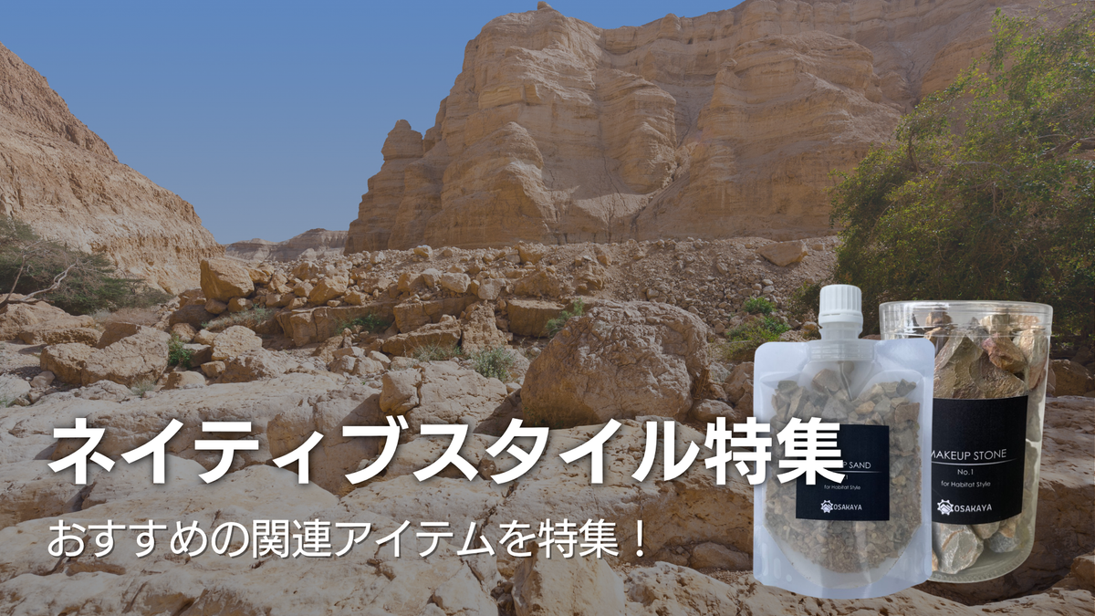 ハビタットスタイル特集