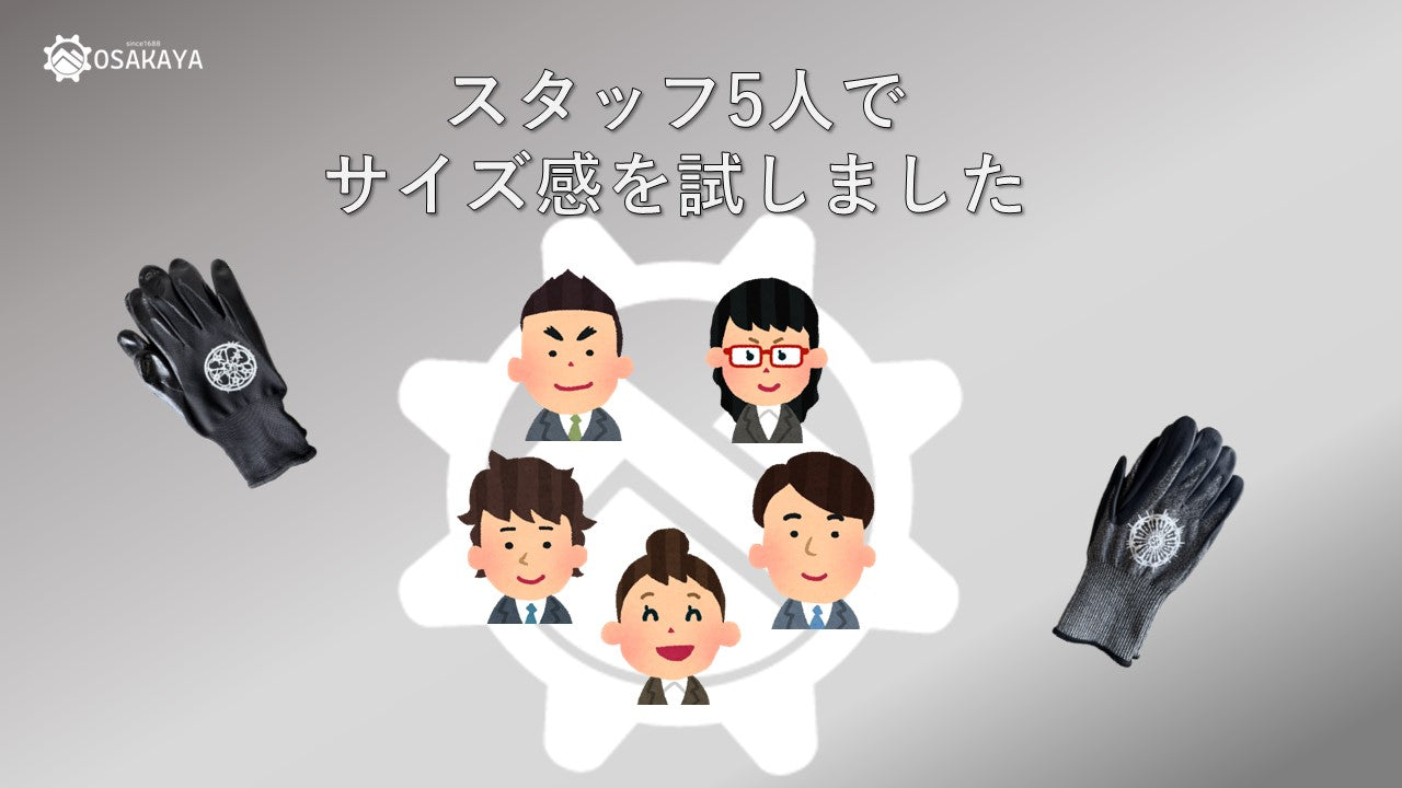 カクタスグローブ コピアポア Lサイズ