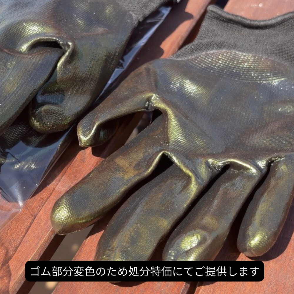 【ワケあり処分特価】カクタスグローブ エキノカクタス Lサイズ