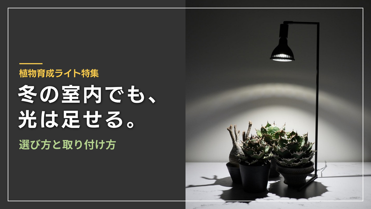 植物育成ライト特集